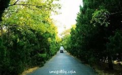 5月的5個(gè)好消息你(nǐ)一定要知道(dào)